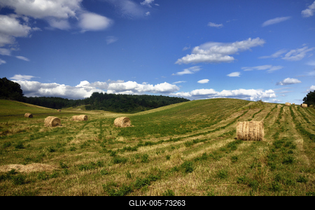 Hevesi táj-stock-foto