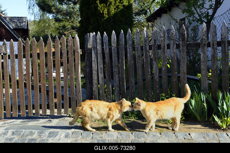 Hollókő-stock-foto