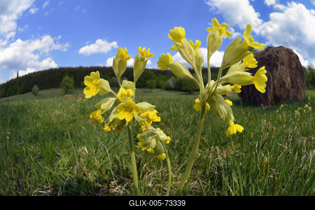 Hevesi táj-stock-foto