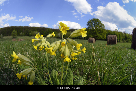 Hevesi táj-stock-foto
