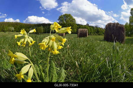 Hevesi táj-stock-foto