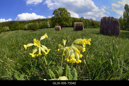 Hevesi táj-stock-foto
