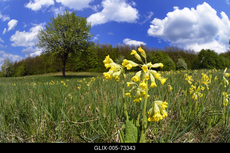 Hevesi táj-stock-foto