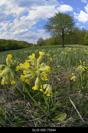 Hevesi táj-stock-foto