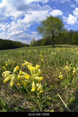 Hevesi táj-stock-foto