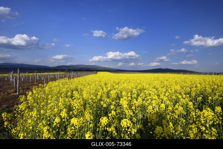 Hevesi táj-stock-foto