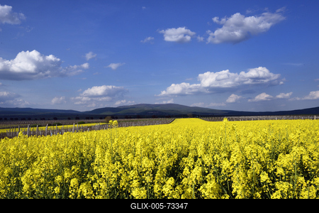 Hevesi táj-stock-foto