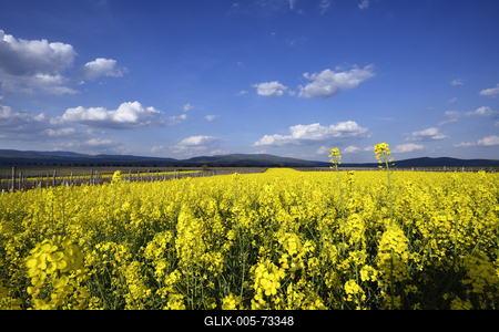 Hevesi táj-stock-foto