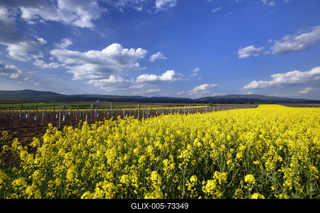 Hevesi táj-stock-foto