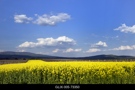 Hevesi táj-stock-foto