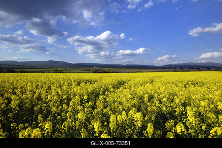 Hevesi táj-stock-foto