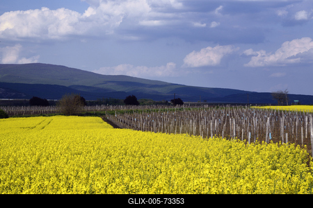 Hevesi táj-stock-foto