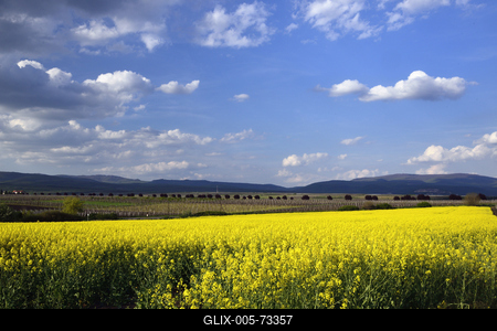 Hevesi táj-stock-foto