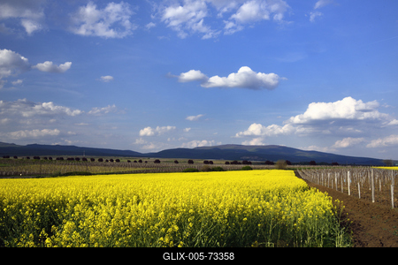 Hevesi táj-stock-foto
