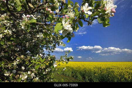 Hevesi táj-stock-foto