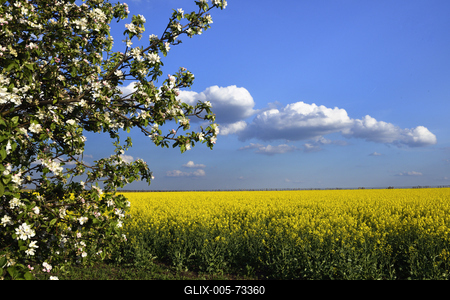 Hevesi táj-stock-foto
