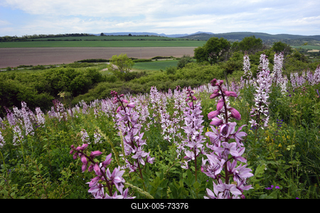 Hevesi táj-stock-foto