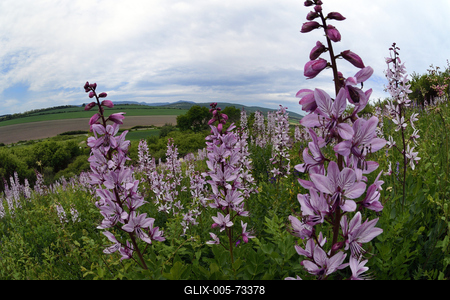 Hevesi táj-stock-foto