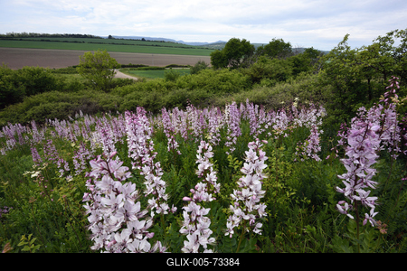 Hevesi táj-stock-foto