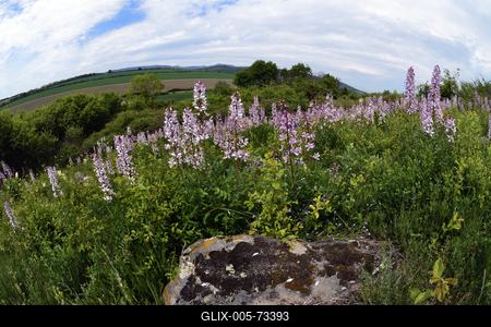 Hevesi táj-stock-foto