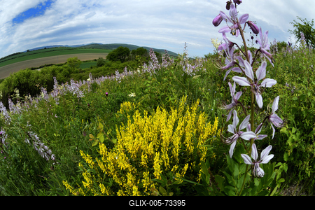 Hevesi táj-stock-foto