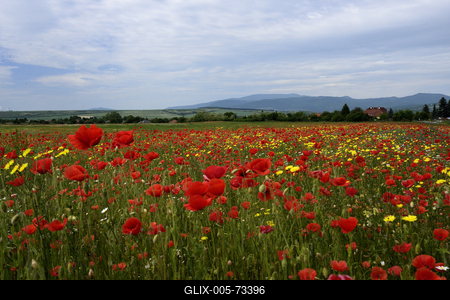 Hevesi táj-stock-foto