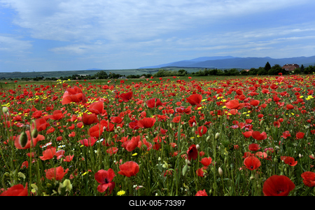 Hevesi táj-stock-foto