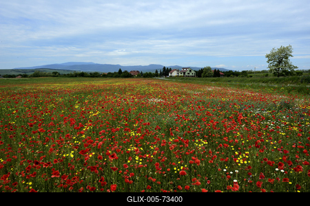 Hevesi táj-stock-foto