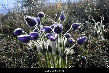 Hevesi táj-stock-foto