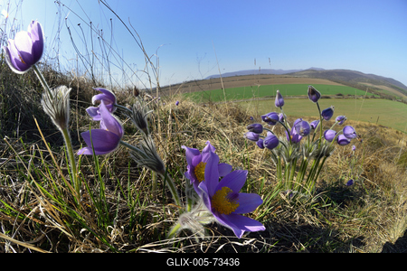 Hevesi táj-stock-foto