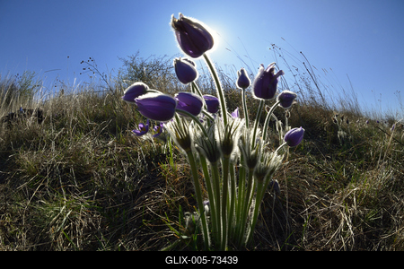 Hevesi táj-stock-foto