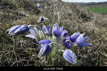 Hevesi táj-stock-foto