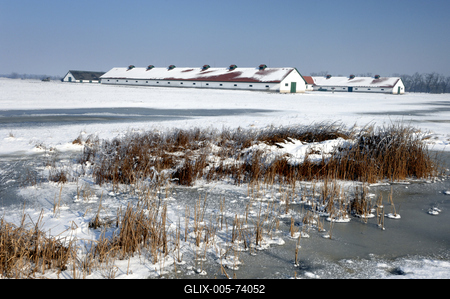 Hortobágy-stock-foto