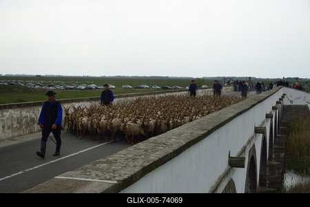 Hortobágy-stock-foto