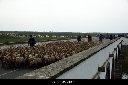 Hortobágy-stock-foto