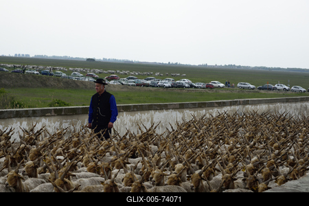 Hortobágy-stock-foto