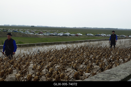 Hortobágy-stock-foto