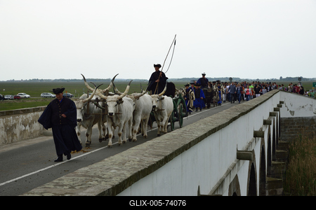 Hortobágy-stock-foto