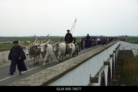 Hortobágy-stock-foto