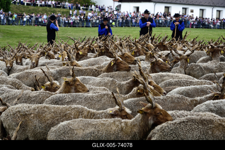 Hortobágy-stock-foto
