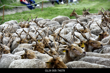 Hortobágy-stock-foto