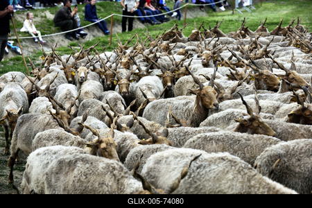 Hortobágy-stock-foto