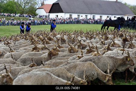 Hortobágy-stock-foto