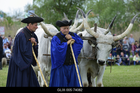 Hortobágy-stock-foto