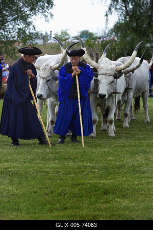 Hortobágy-stock-foto