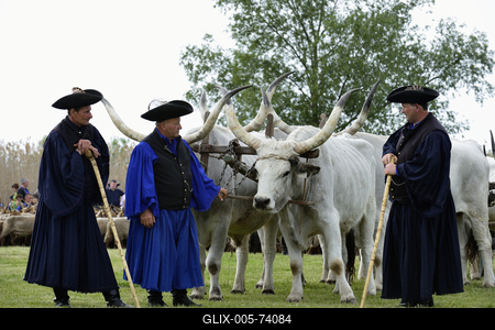 Hortobágy-stock-foto