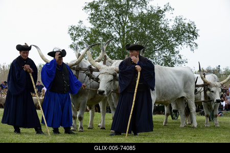 Hortobágy-stock-foto