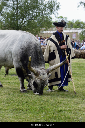 Hortobágy-stock-foto