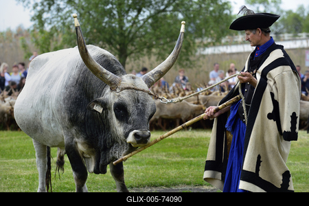 Hortobágy-stock-foto