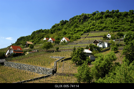 Somló-hegy-stock-foto